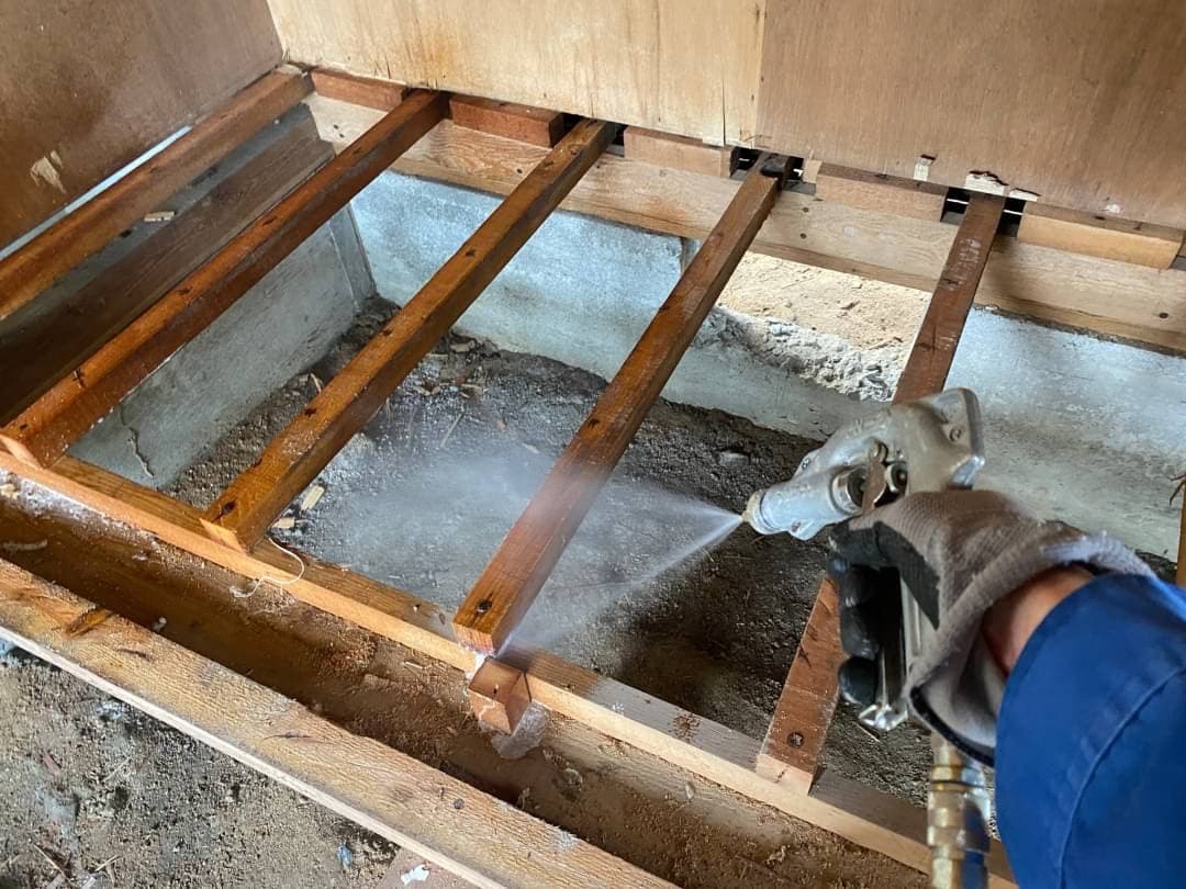 白アリ駆除・予防 イメージ